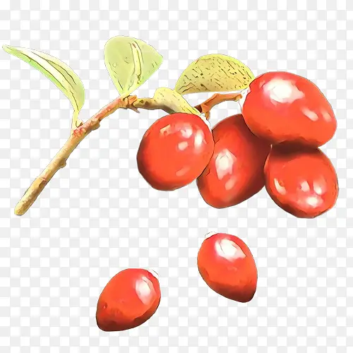 ˮ�� ʳƷ ֲ��-������