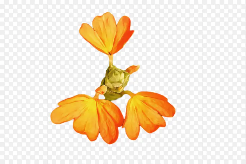 �� ���� ֲ��-������