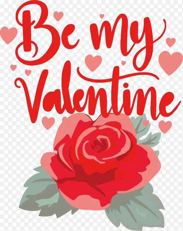 ���˽� ���� �������-������