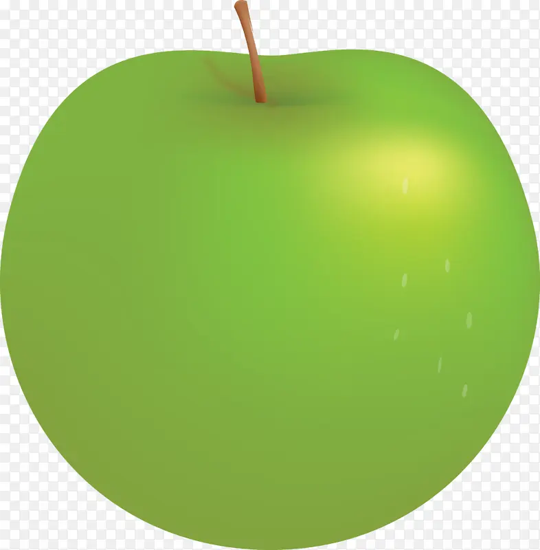 ƻ�� ��ͨƻ�� ˮ��-������