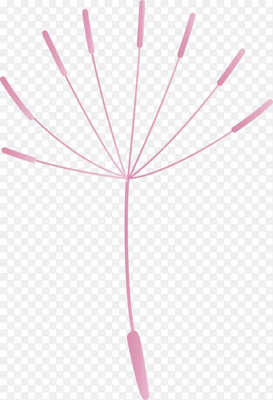 �ѹ�Ӣ �� ��-������