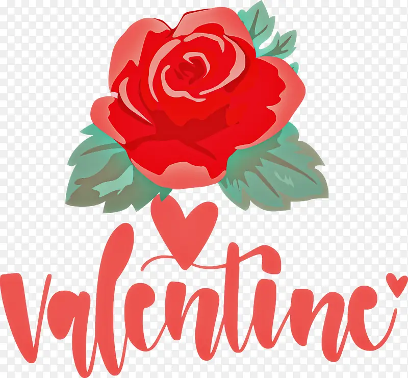 ���˽� ���� �������-������