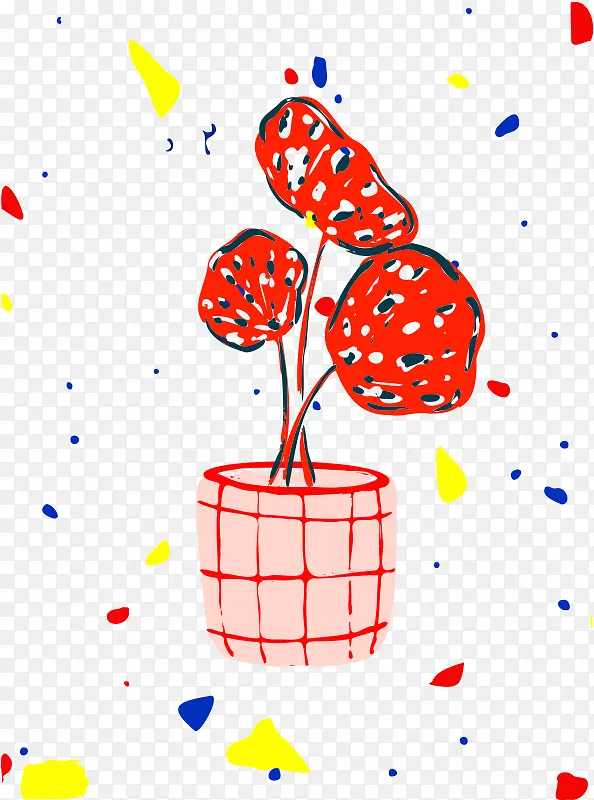 ��ͨ ��ɫ ����-������