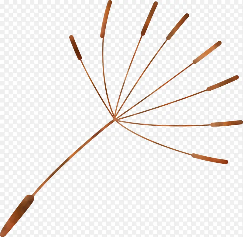 �ѹ�Ӣ �� ����-������