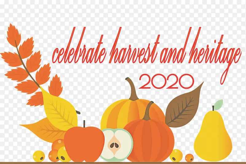 �ж��ڿ���-������