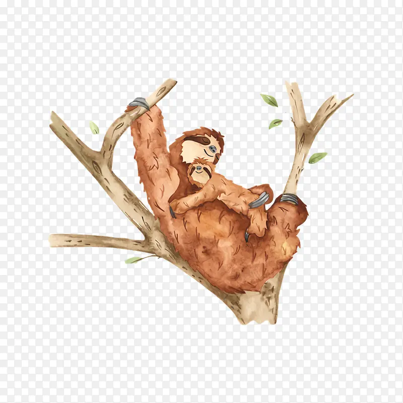 ¹�� ��ѧ ����ѧ-������