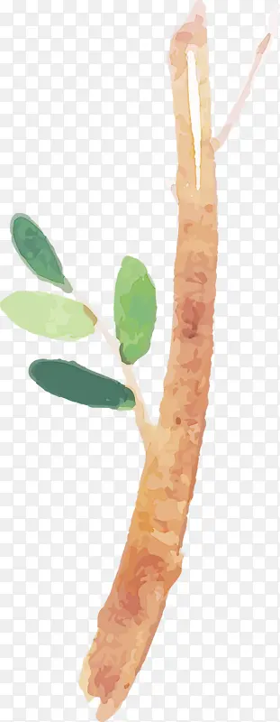 ˮ�ʻ����� ˮ�ʻ�����Ҷ�� ˮ�ʻ�Ҷ��-������