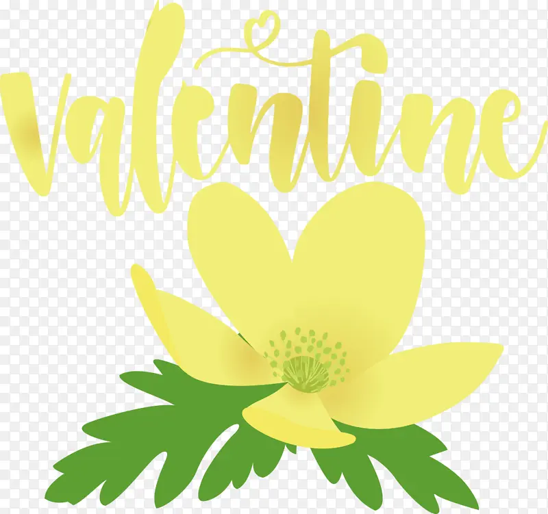 ���˽� ���� ���ⲩ��-������