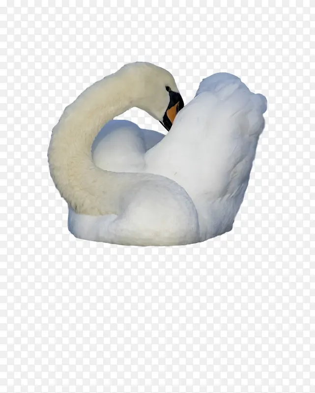 ��� ���� ˮ��-������