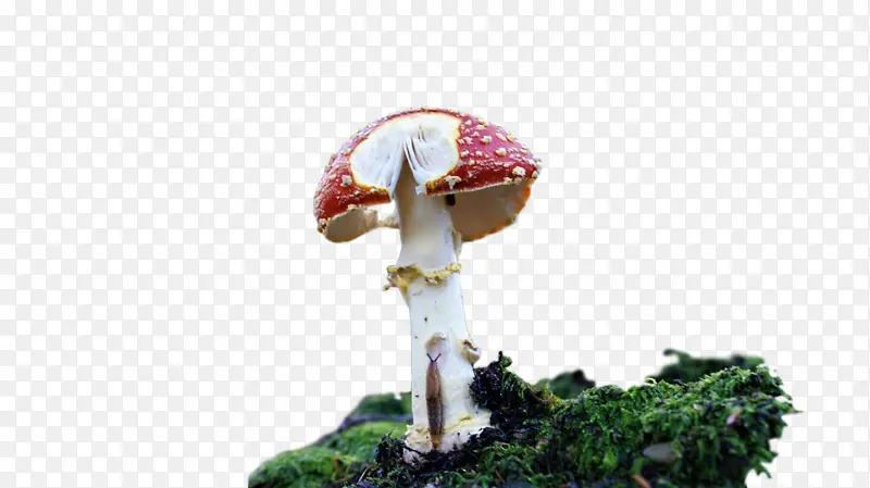 ��-������