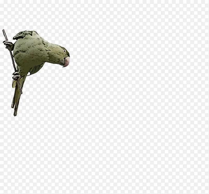 ���� � ��-������