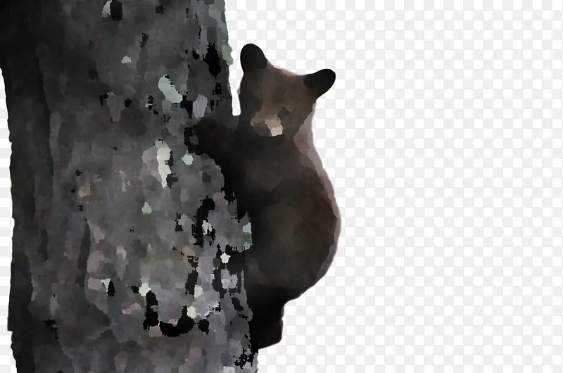 ���� Ƥë ��ѧ-������