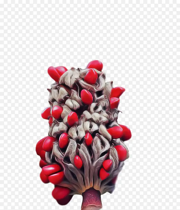 ʥ����Ʒ ˮ�� ʥ����-������