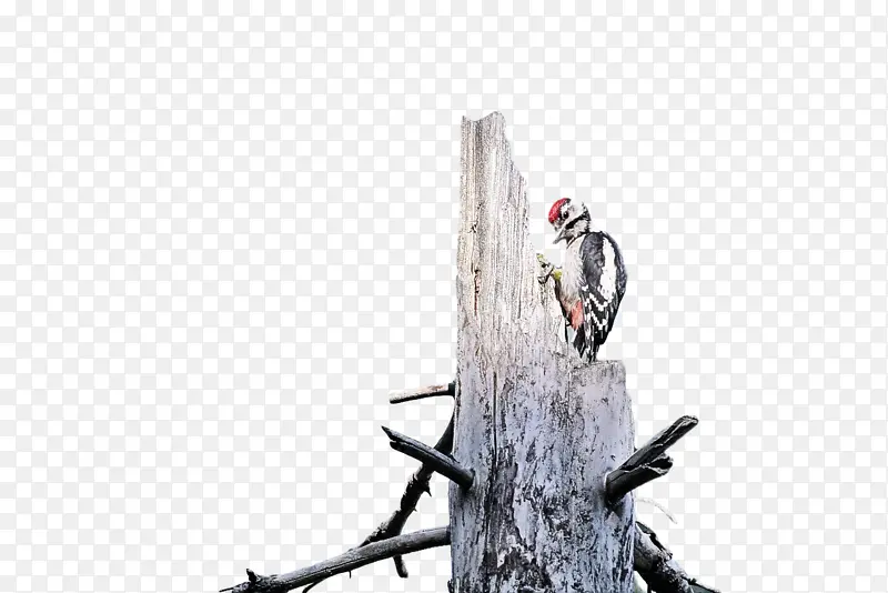 ��-������