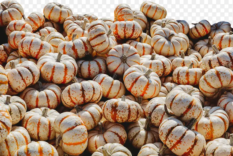 ���� �߲� ����-������