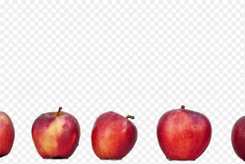 ��ȻʳƷ ����ˮ�� ����ʳƷ-������