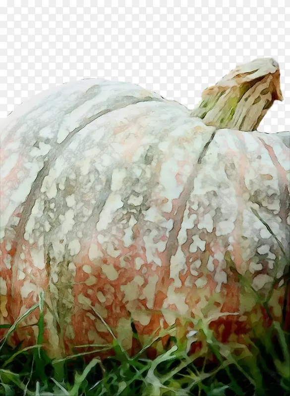 ˮ�� ���� ʪīˮ-������