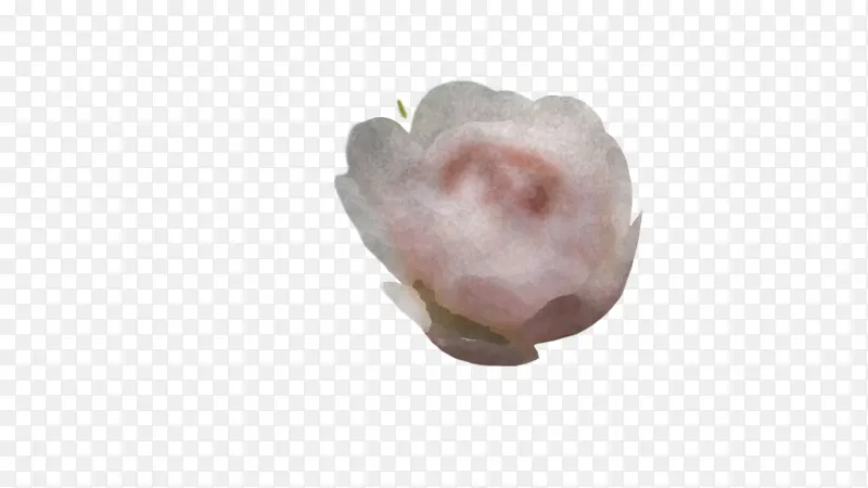 ����-������