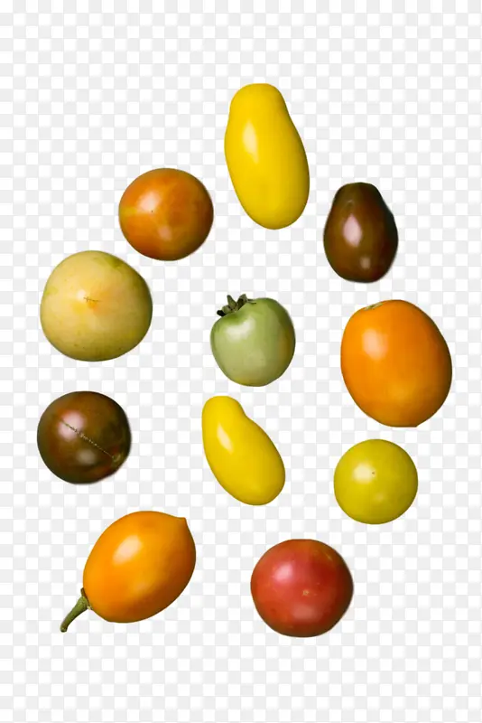 ���� ��ȻʳƷ ����ʳƷ-������