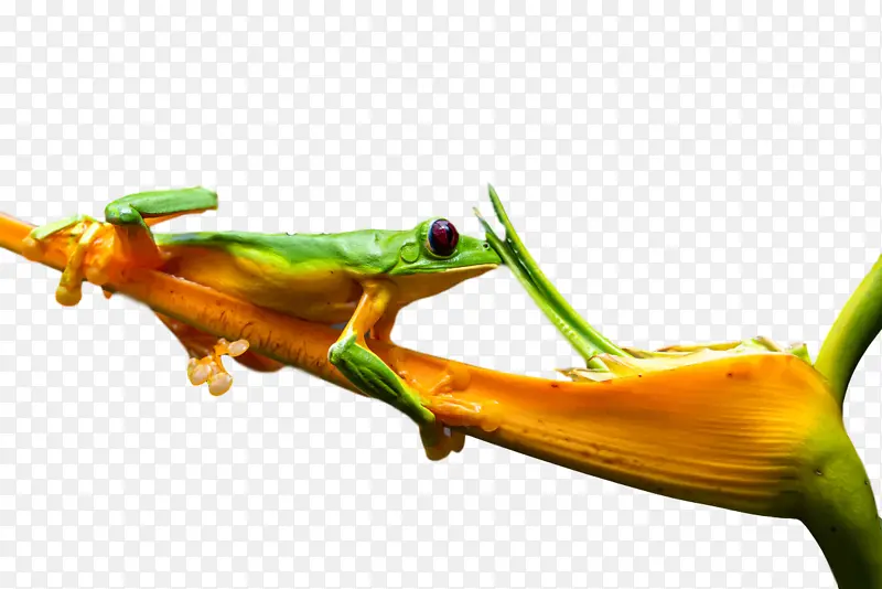 ���� ���� ��ѧ-������