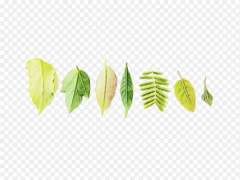 ˮ�ʻ� ���� ʪī-������