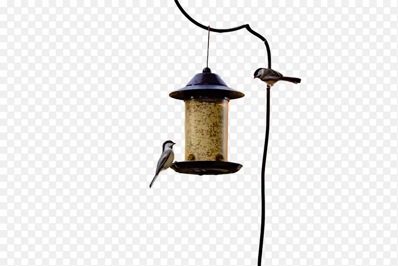 �� ��ʳ ��ѧ-������