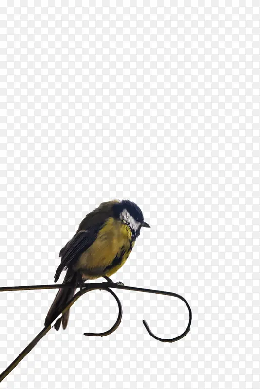 ���� ȸ�� �-������