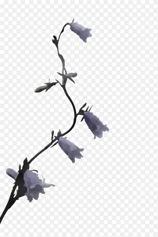 ��֦ �� ��ɫ-������