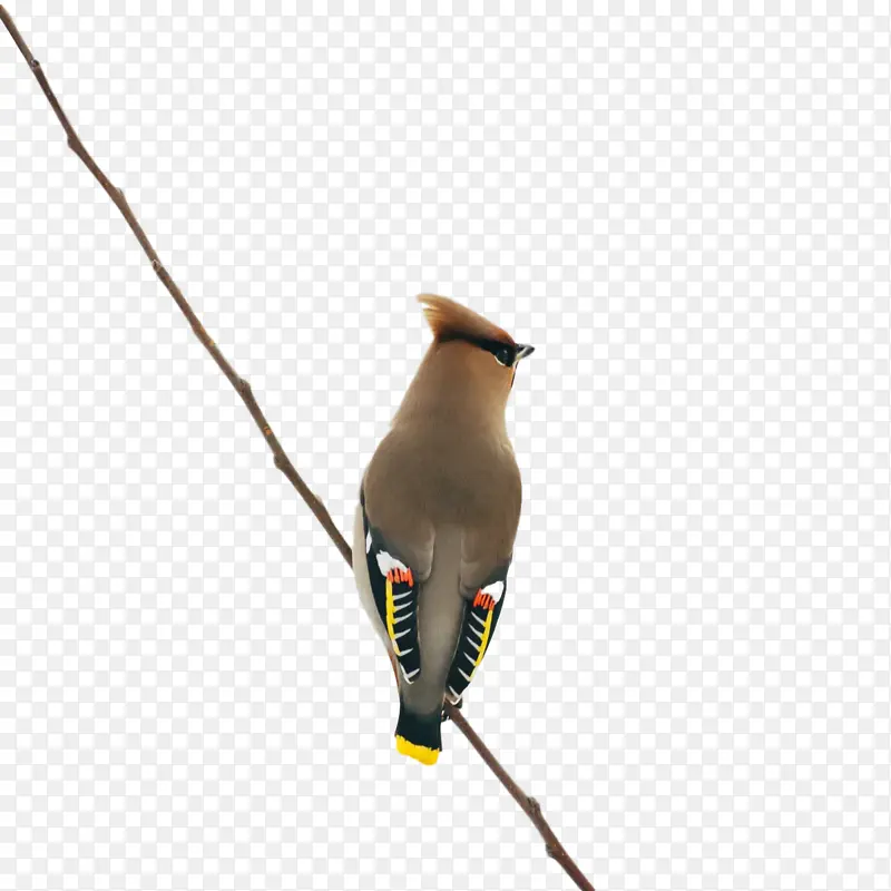 �� ȸ �-������