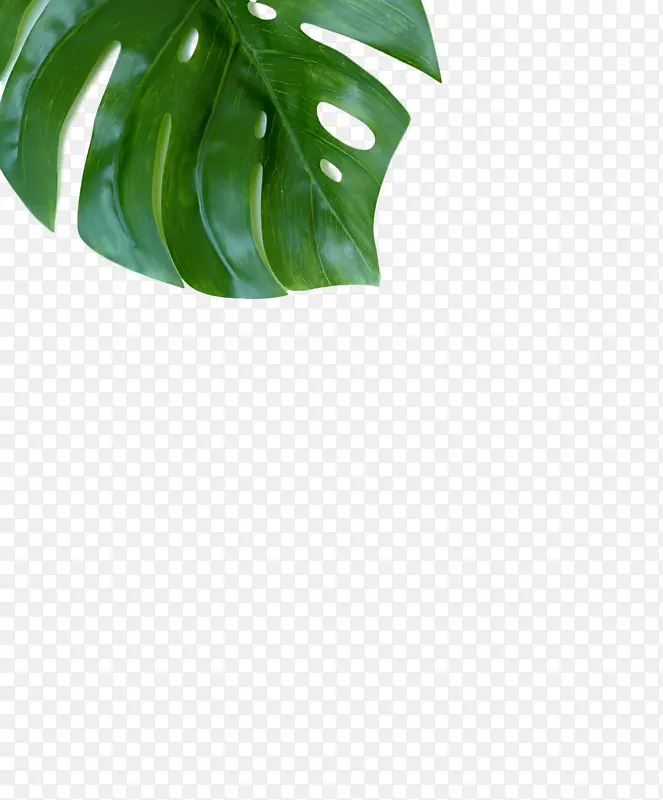 Ϥ������Ӫ�� �罻ý�� ý��-������