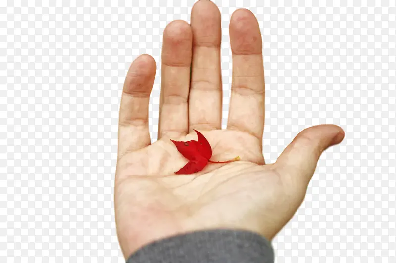 ��ģ�� ���� ����-������