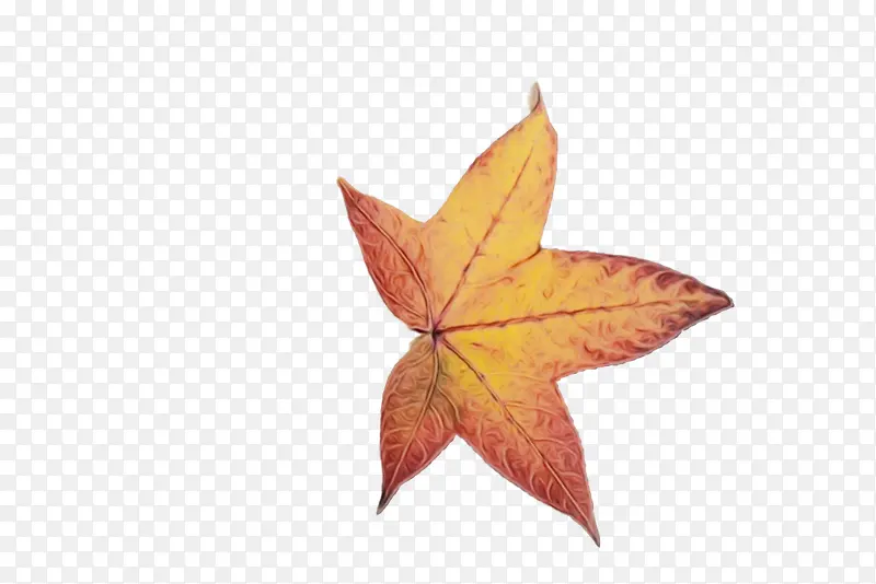 ˮ�ʻ� ���� ʪī-������