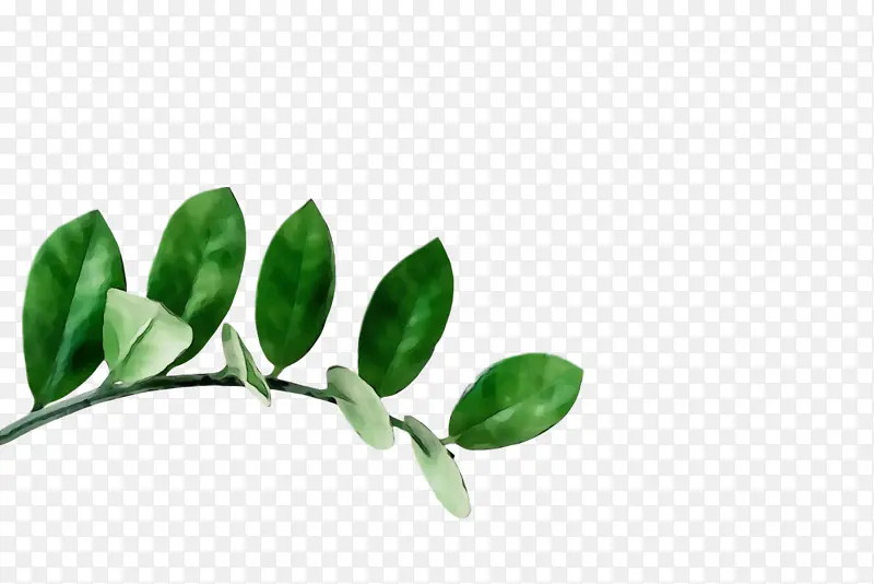 ˮ�� ���� ʪī-������