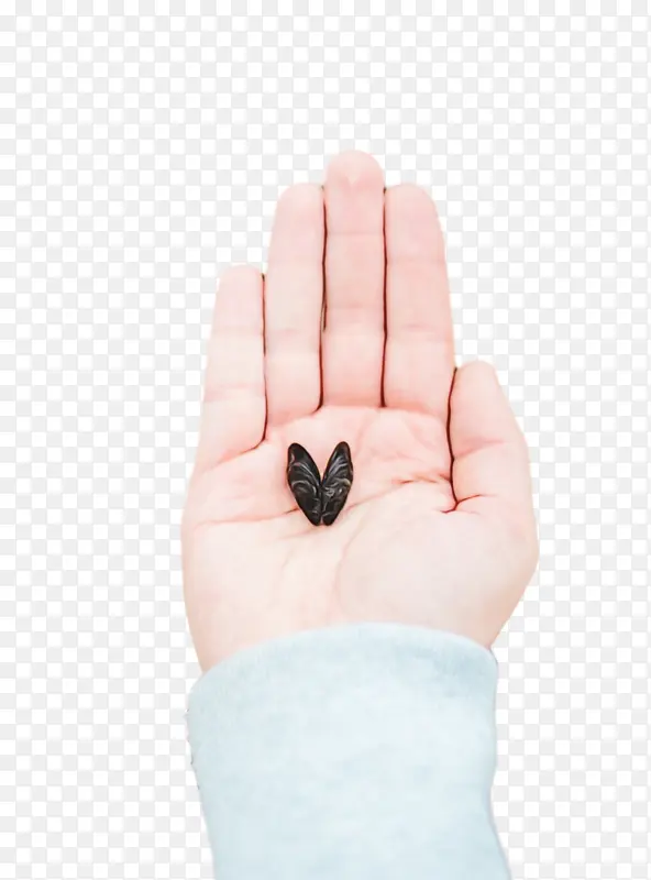 ˮ�ʻ� ���� ʪīˮ-������