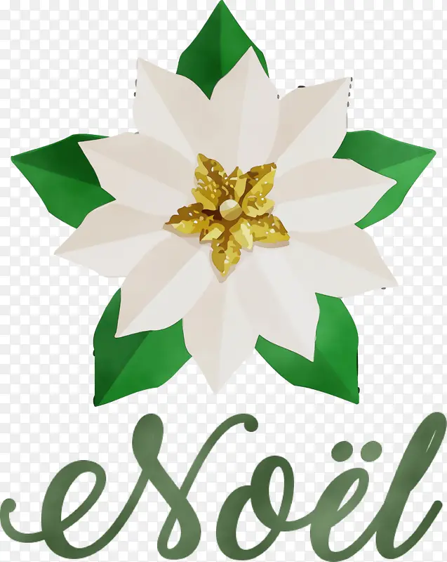 ŵ���� ʥ����-������