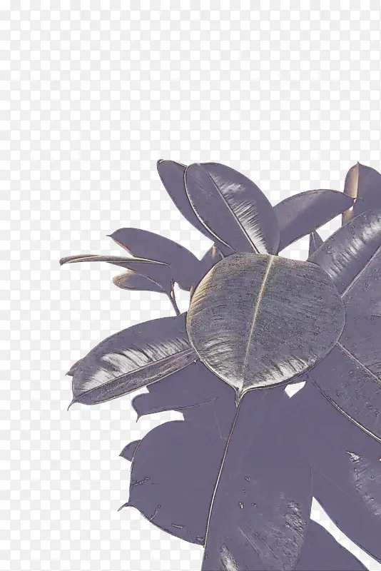 ��һ��Դ���� ���� �滭-������