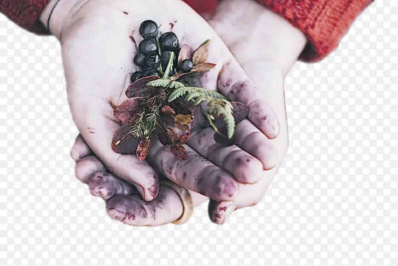 ���� ������ ֲ��-������