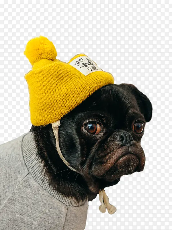 �ɹ���Ʒ���� С�� ����-������