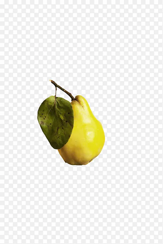 ���� ֲ�� ˮ��-������