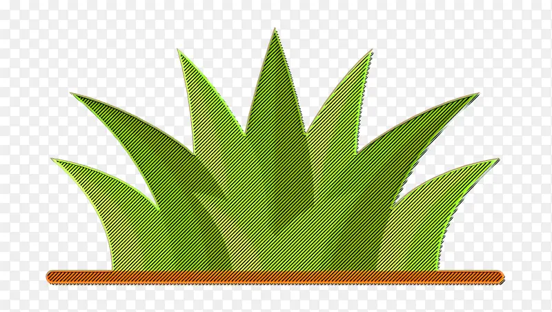 ����ֲ��ͼ�� ��ͼ�� ��ƺ-������