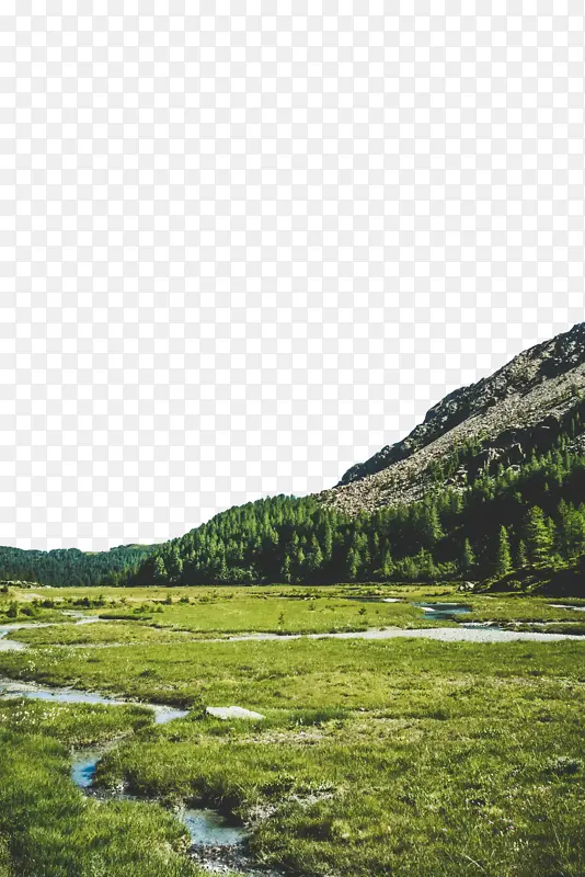 ɽ�� ˮ��Դ ��Ұ-������