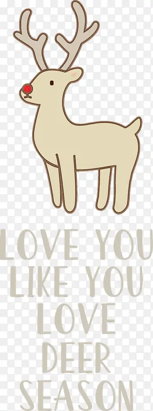 ���� ¹ ����-������