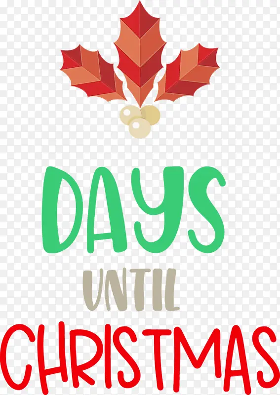 ��ʥ���ڻ��м��� ʥ����-������