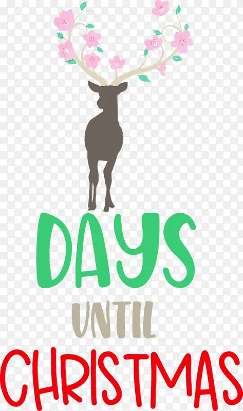 ��ʥ���ڻ��м��� ʥ����-������