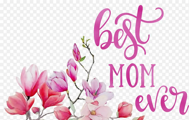 ĸ�׽� ��ʷ������õ����� ˮ�ʻ�-������