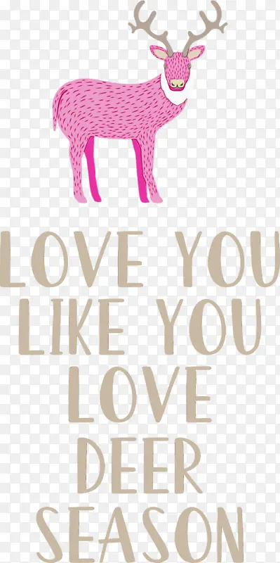 ���� ¹ ����-������