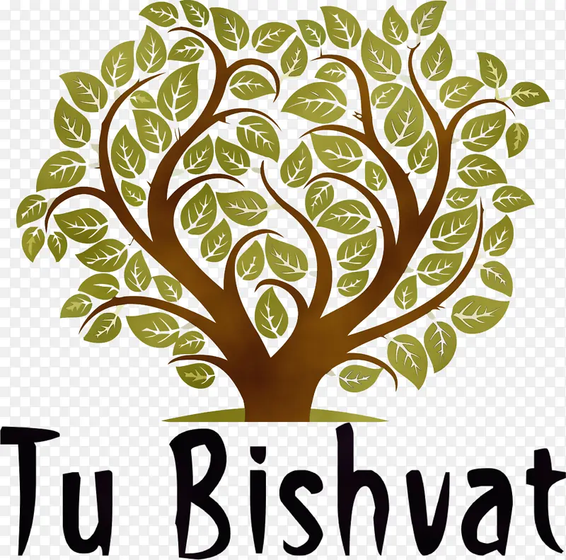 ��̫�� ˮ�ʻ� ����-������