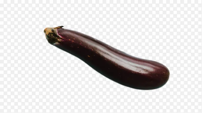 ��ѧ ����ѧ-������