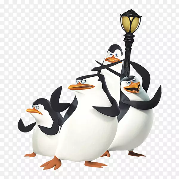 ��첻�������ְ�˹���������ͷ-�����˹�����-������