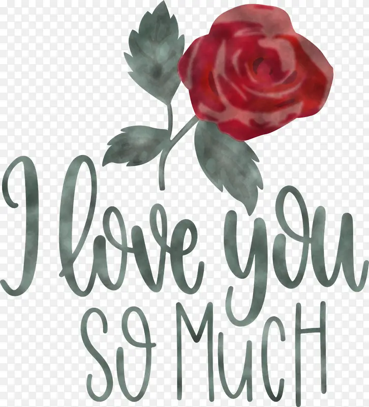 �ҷǳ����� ���˽� ��-������